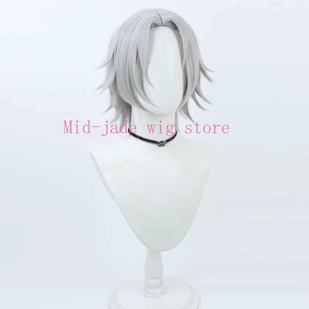 Hayato Gokudera Cosplay Wig Si - Photography Japanese 评论和价格